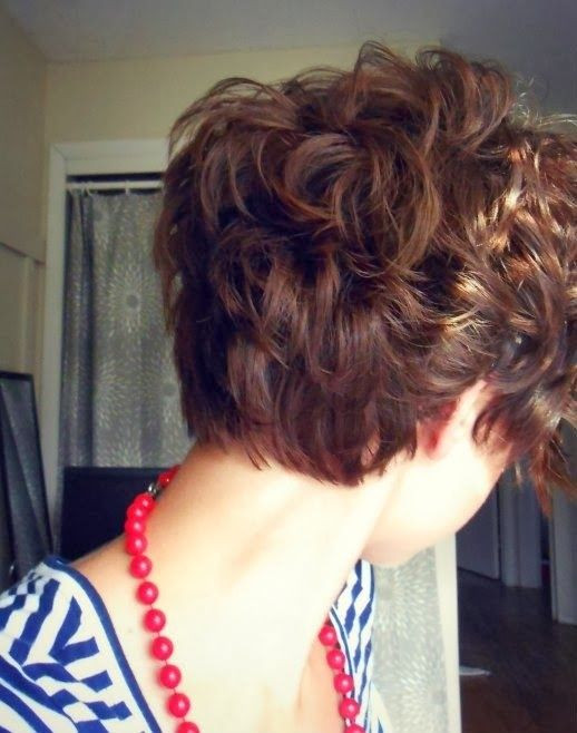 Short Curly Hairstyles For Girls
 26 Coolest Hairstyles for School PoPular Haircuts