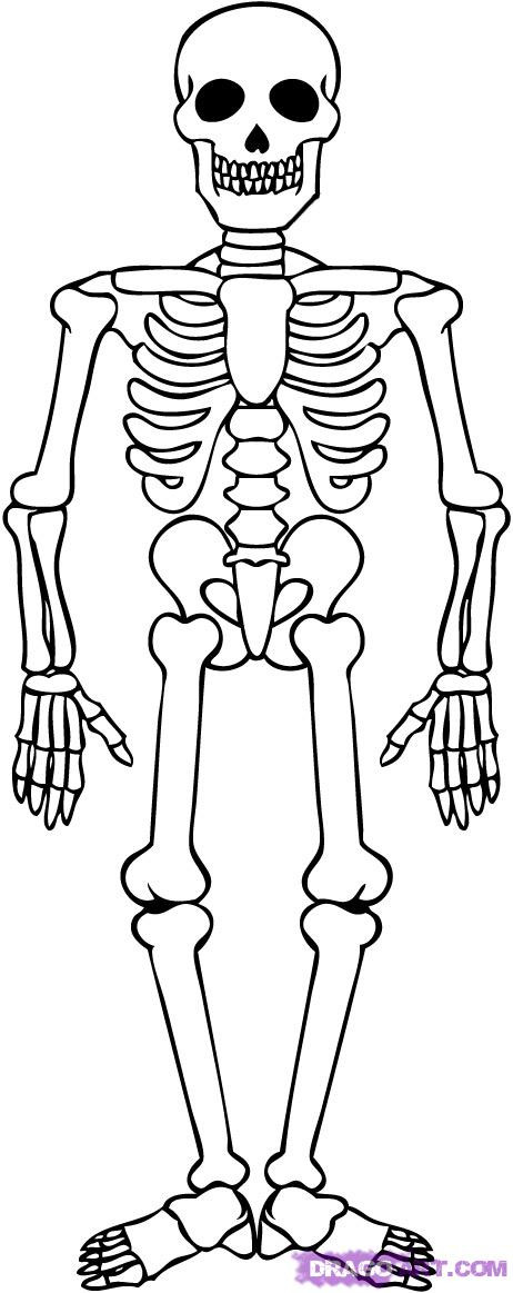 Skeloton Coloring Pages
 Skeleton Coloring Pages