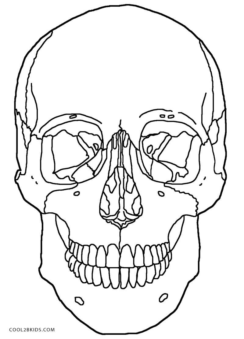 Skull Coloring Pages
 Printable Skulls Coloring Pages For Kids