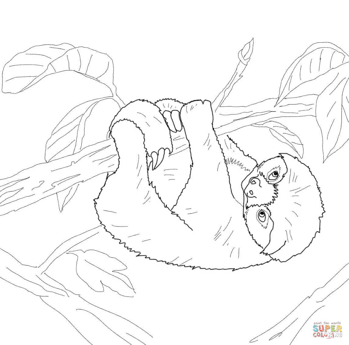 Sloth Coloring Sheets For Boys
 Baby Sloth coloring page
