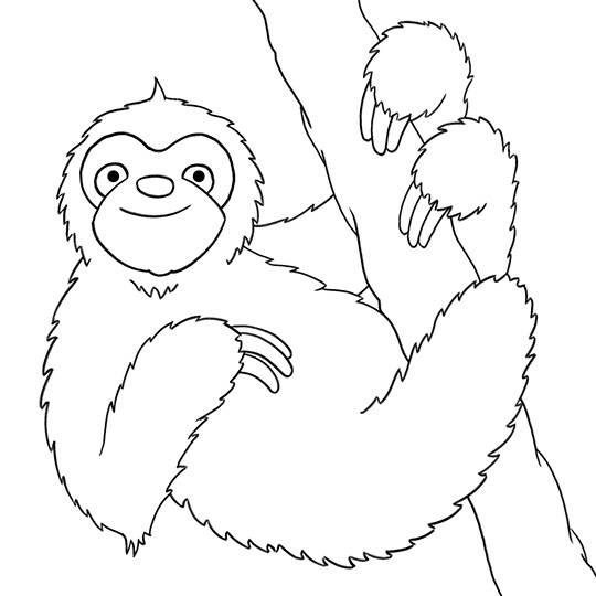 Sloth Coloring Sheets For Boys
 Cartoon Sloth Coloring Pages Sketch Coloring Page