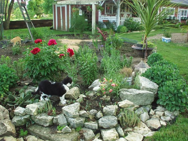 Best ideas about Small Rockery Garden Ideas
. Save or Pin small rock garden ideas need ideas for rocks birds blooms Now.