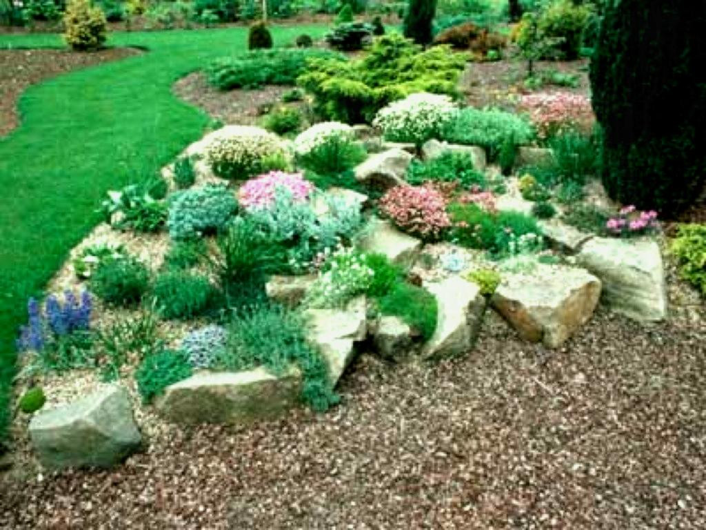 Best ideas about Small Rockery Garden Ideas
. Save or Pin Outstanding Small Rock Garden Ideas Best Exterior Now.