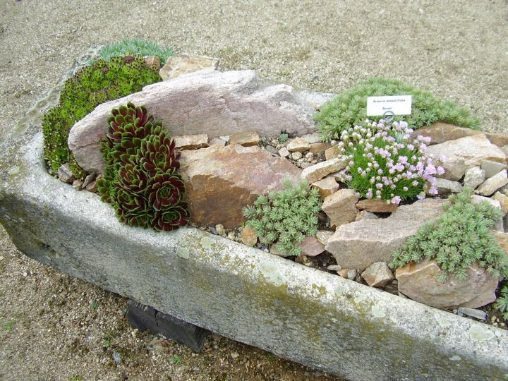 Best ideas about Small Rockery Garden Ideas
. Save or Pin 18 Simple Small Rock Garden Designs Now.