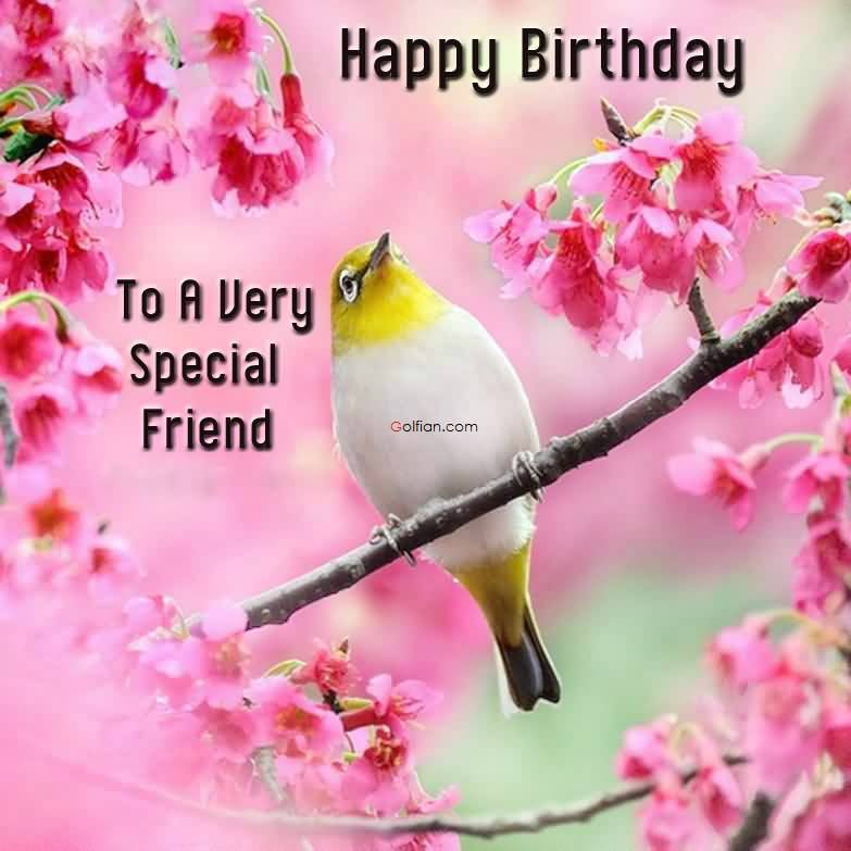 Special Friendship Birthday Wishes
 75 Popular Birthday Wishes For Best Friend – Beautiful