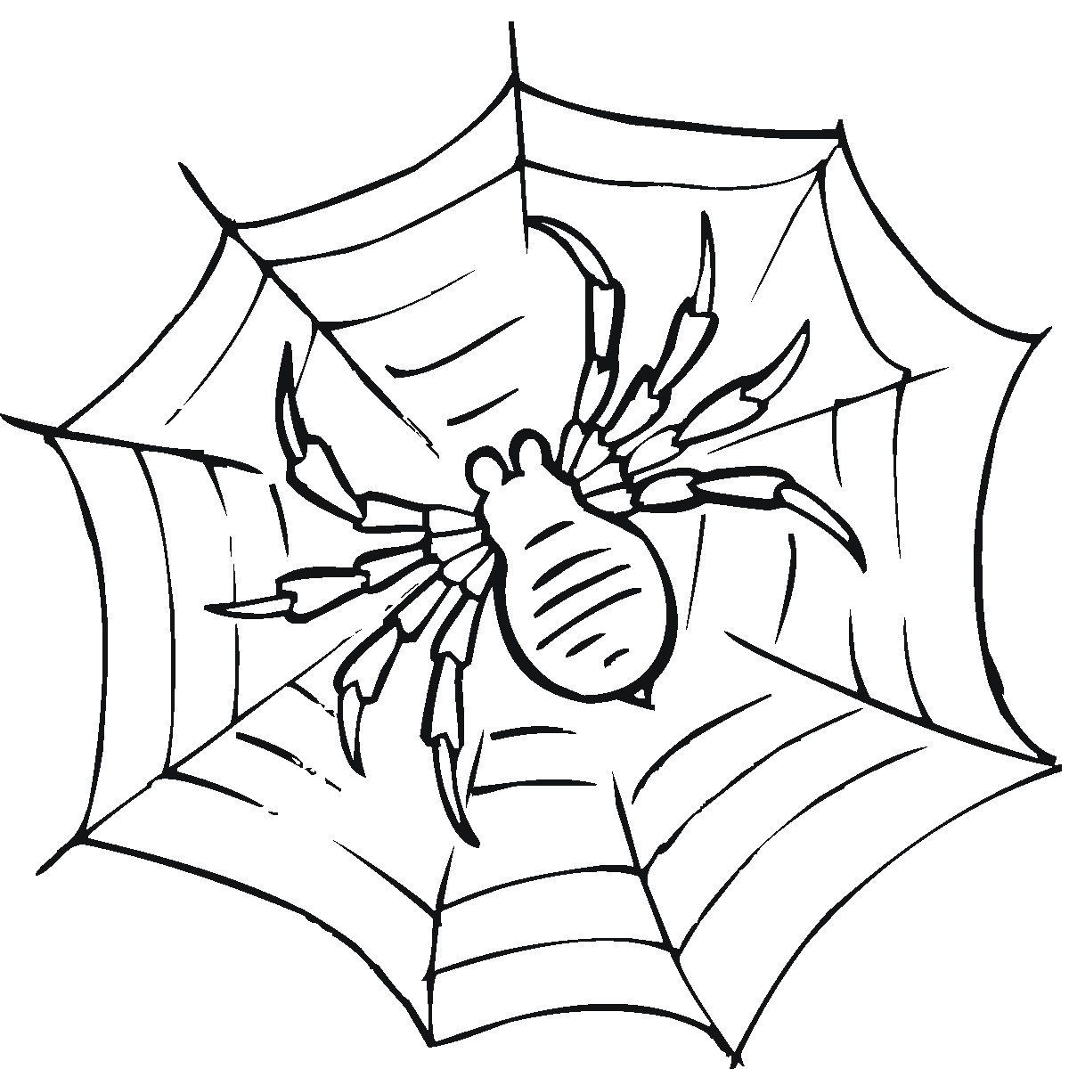 Spider Coloring Pages For Kids
 Free Printable Spider Web Coloring Pages For Kids