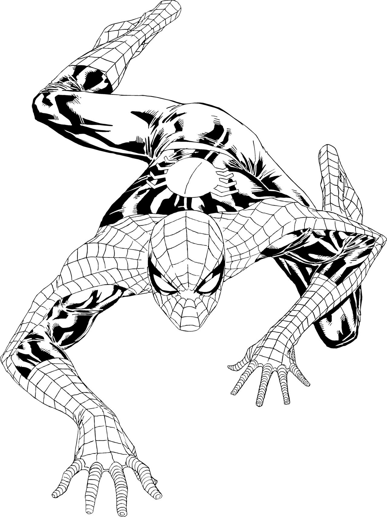 Spiderman Coloring Book Pages
 Free Printable Spiderman Coloring Pages For Kids