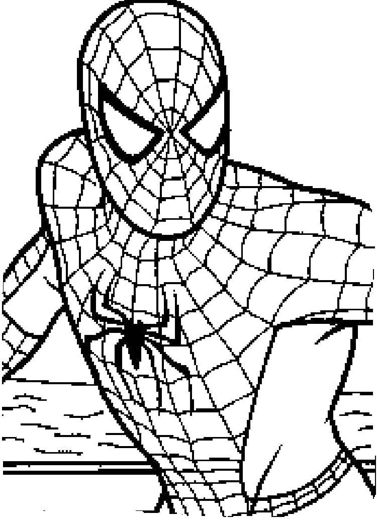 Spiderman Coloring Pages For Adults
 Spiderman Enemies e See Coloring Page Spyderman