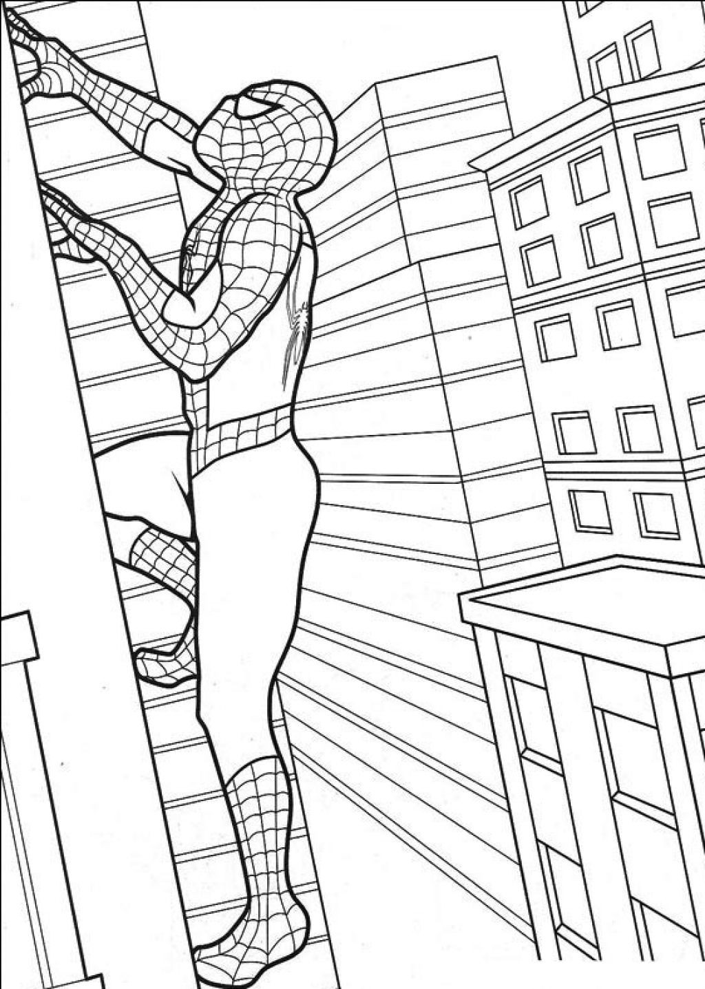 Spiderman Coloring Pages Printable
 Free Printable Spiderman Coloring Pages For Kids