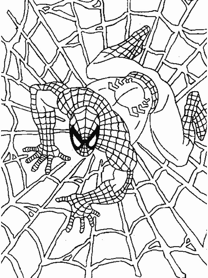 Spiderman Coloring Pages Printable
 Free Printable Spiderman Coloring Pages For Kids