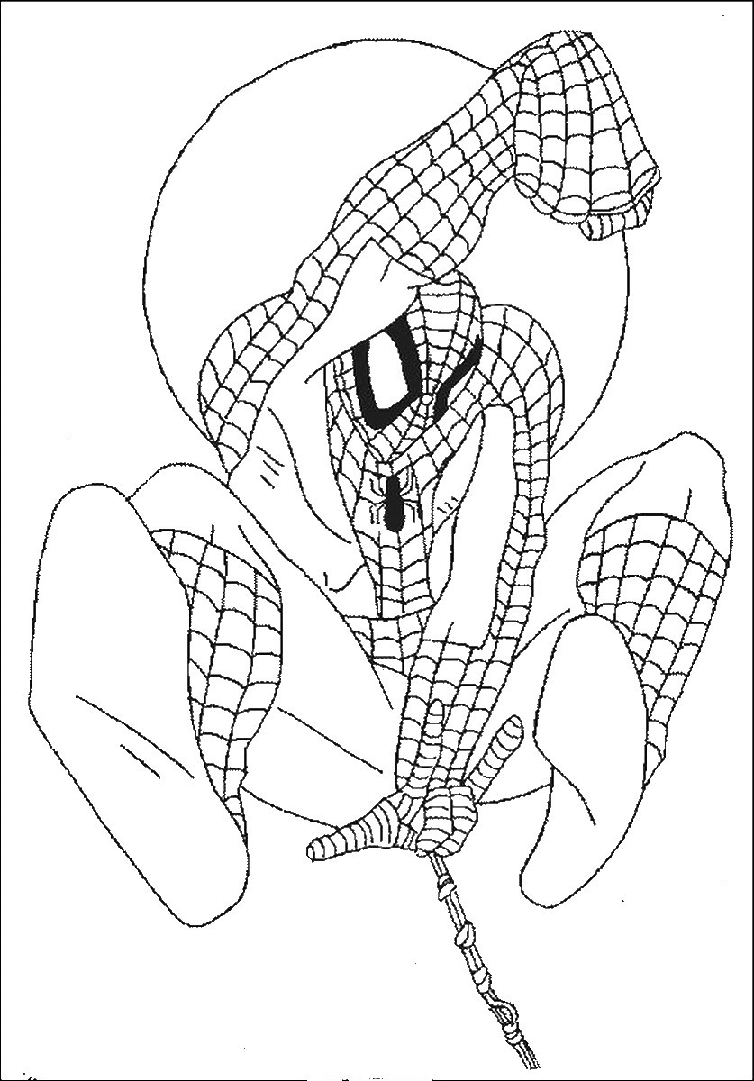 Spiderman Coloring Pages Printable
 Free Printable Spiderman Coloring Pages For Kids