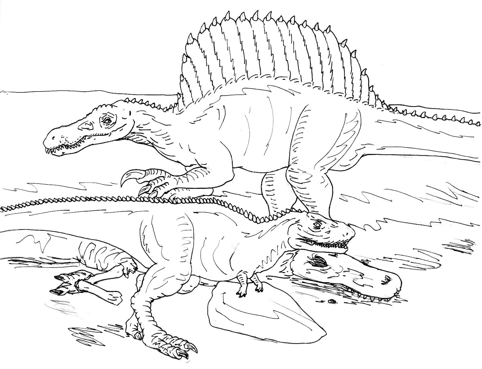 Spinosaurus Coloring Pages
 Spinosaurus VS Rugops BW by avancna on DeviantArt
