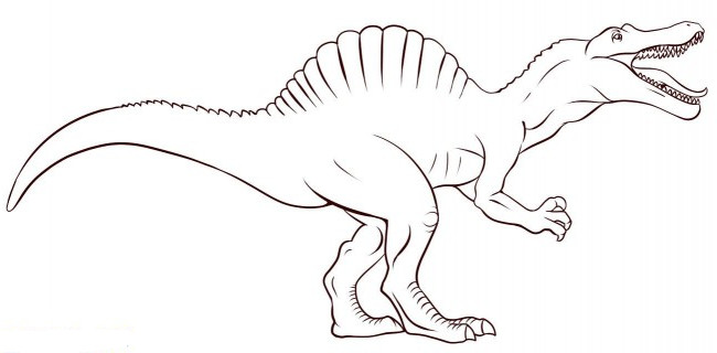 Spinosaurus Coloring Pages
 Spinosaurus Coloring Page