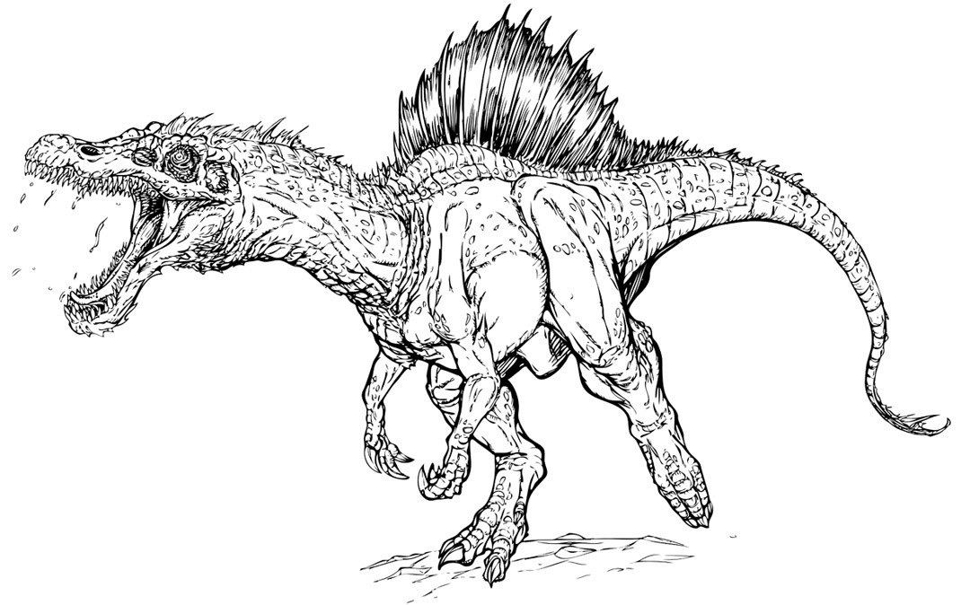 Spinosaurus Coloring Pages
 Jurassic park coloring pages spinosaurus ColoringStar