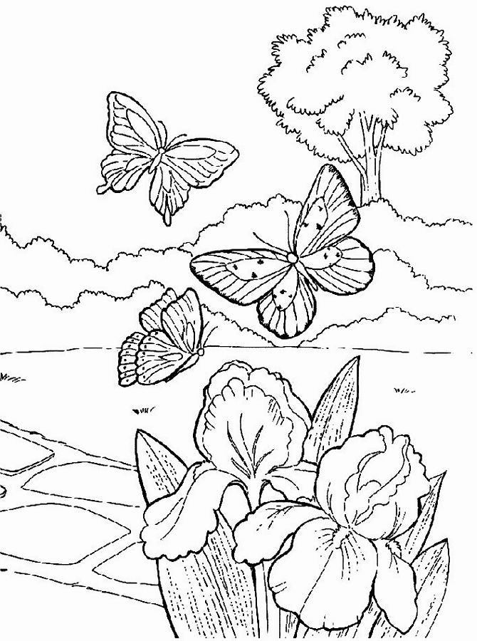 Spring Adult Coloring Pages
 Spring Coloring Pages For Adults Coloring Home