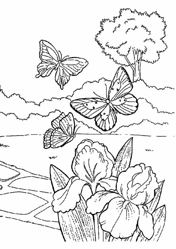 Spring Fling Coloring Sheets For Kids
 Spring Coloring Pages Best Coloring Pages For Kids