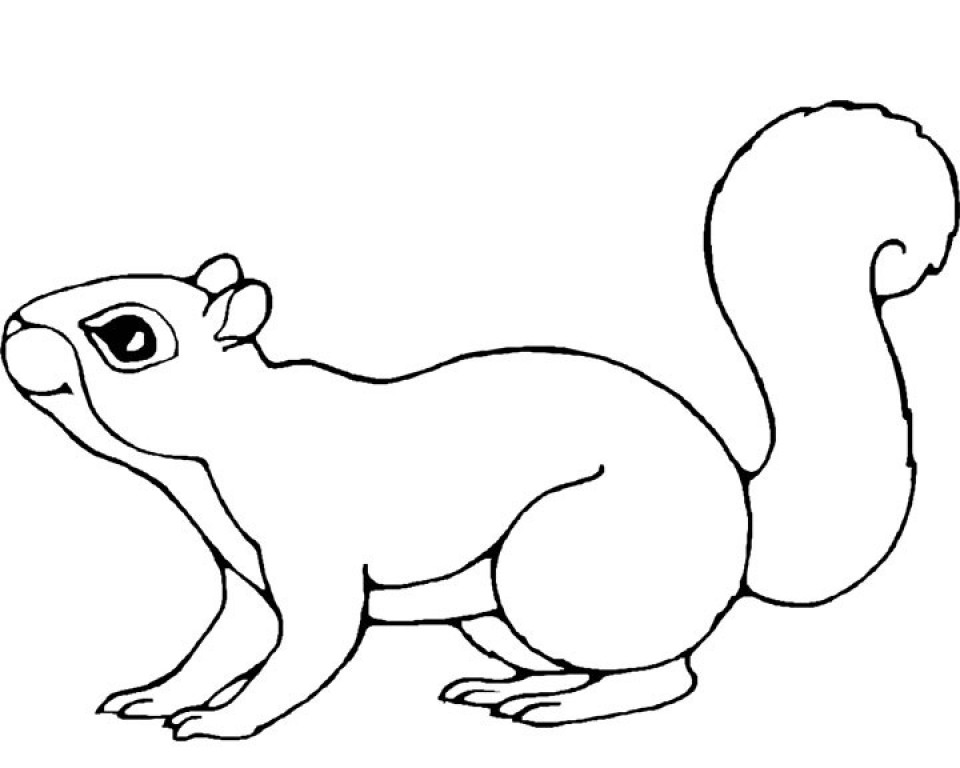 Squirrel Coloring Sheets For Kids
 Get This Printable Squirrel Coloring Pages for Kids 5prtr