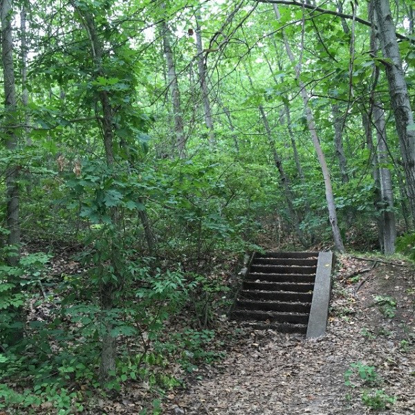 Best ideas about Staircase In The Woods
. Save or Pin Mysterious stairs to nowhere Now.