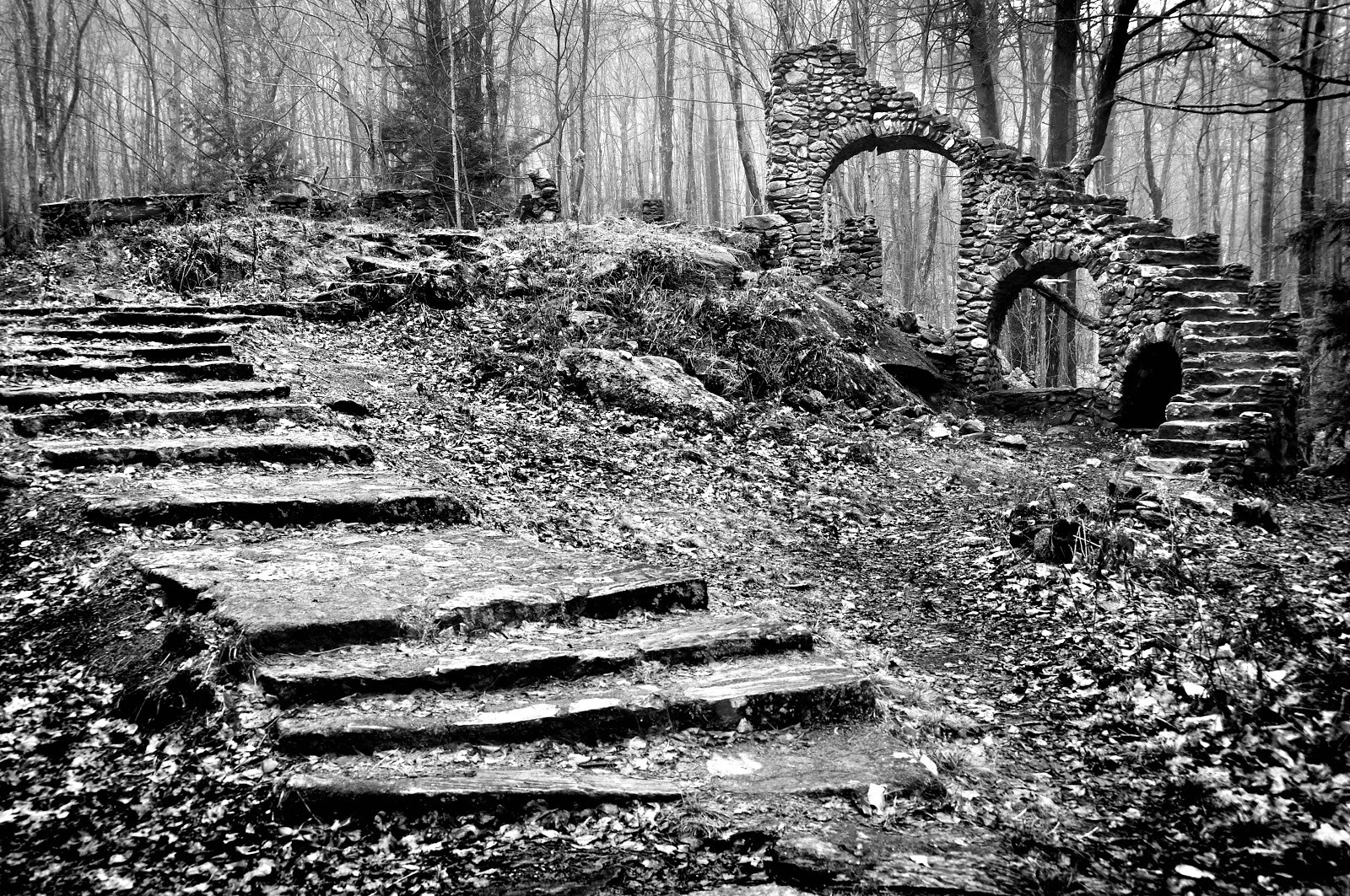 Best ideas about Staircase In The Woods
. Save or Pin A graphic Sage A Staircase in the Woods Now.