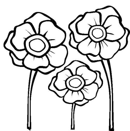 Stem Coloring Pages
 Free coloring pages of flower with stem