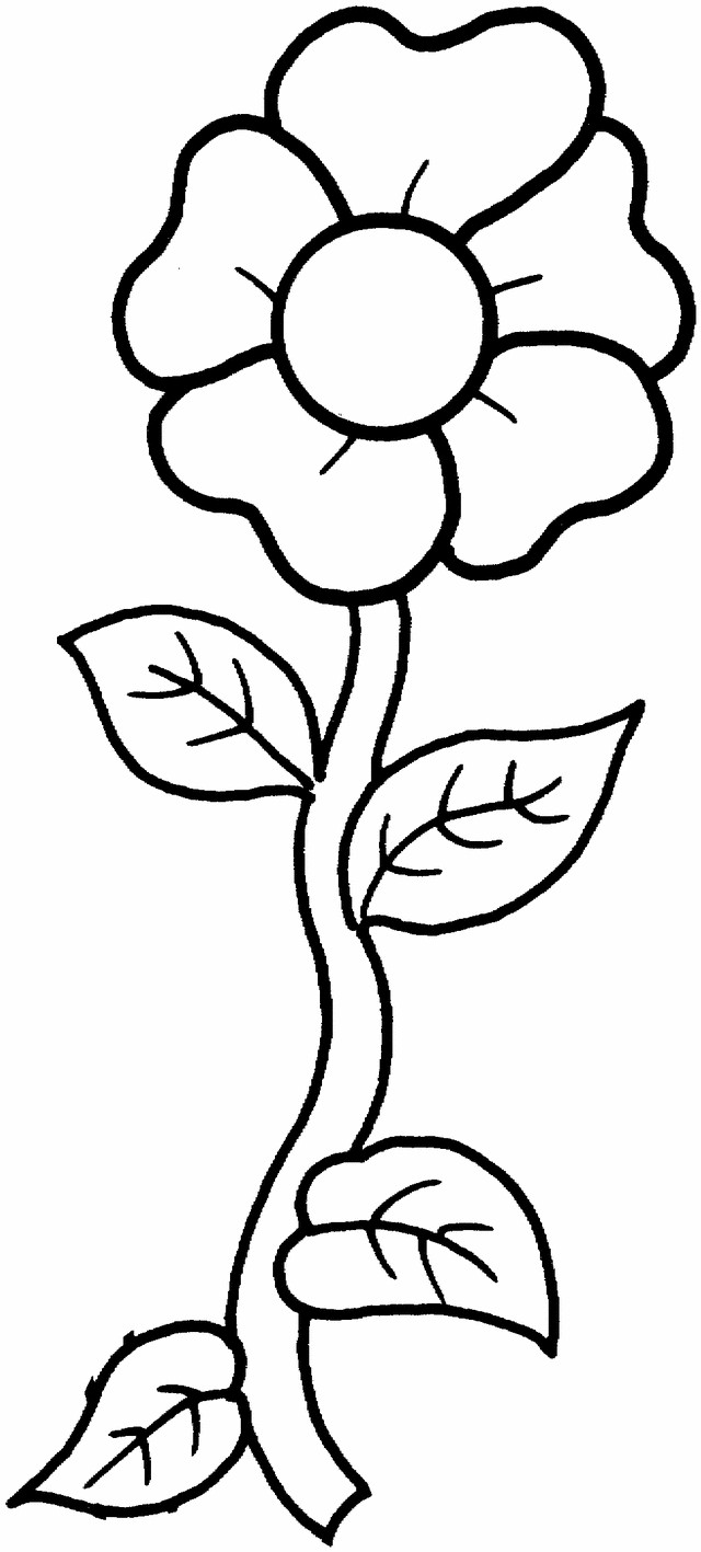 Stem Coloring Pages
 Printable Flowers With Stems For Kids ClipArt Best