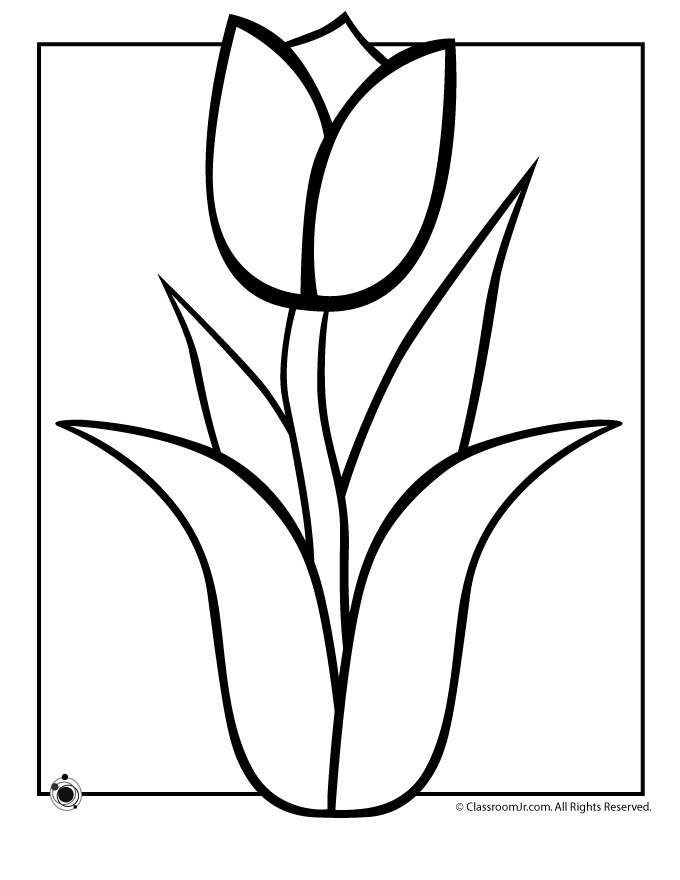 Stem Coloring Pages
 Flower Stems Coloring Pages ClipArt Best