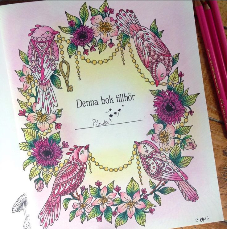 Summer Nights Coloring Book
 701 best Hanna Karlzon images on Pinterest