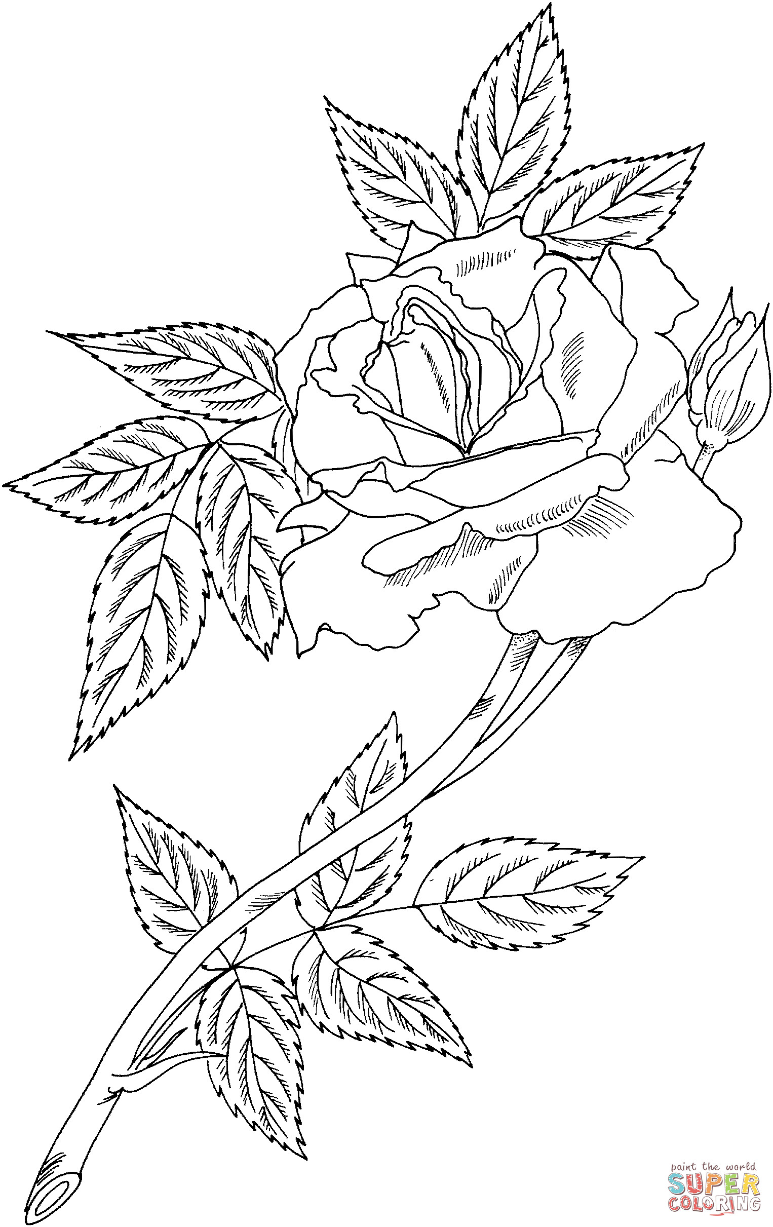 Sunset Coloring Pages For Adults
 Sunset Coloring Pages For Adults Coloring Pages