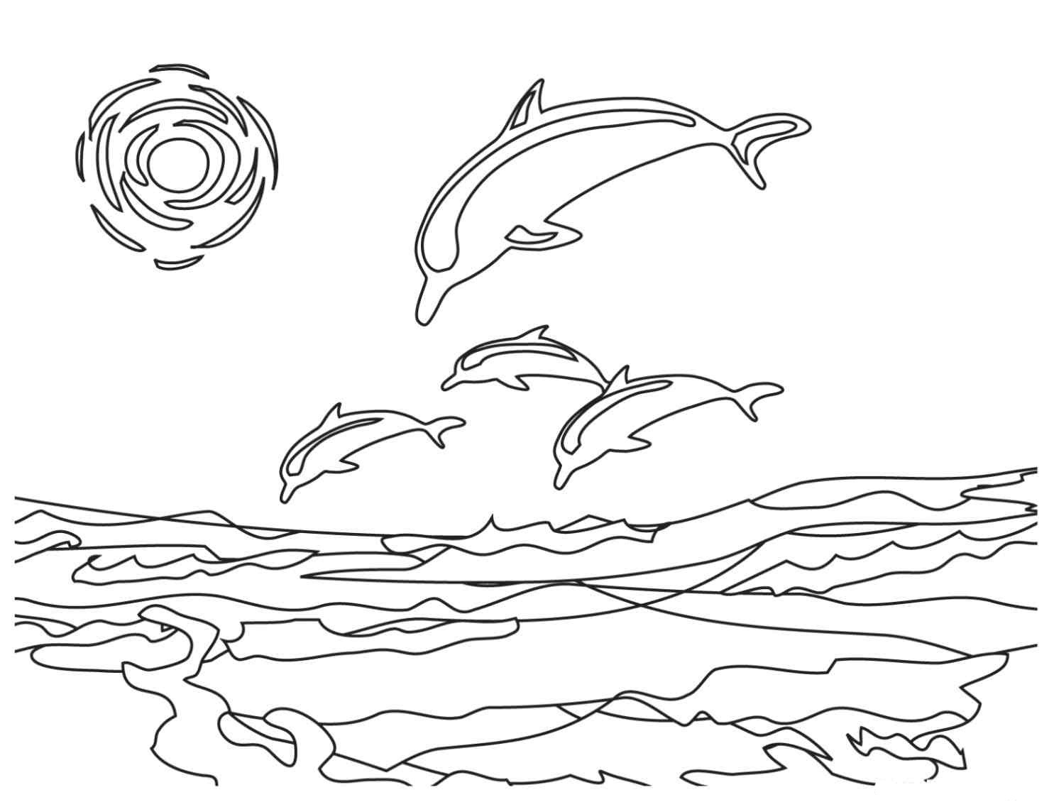 Sunset Coloring Pages For Adults
 Dolphin Coloring Pages coloringsuite
