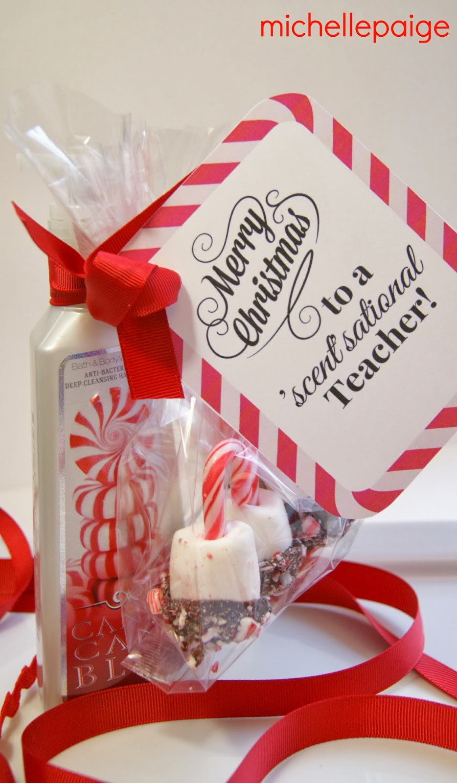 Teacher Holiday Gift Ideas
 michelle paige blogs Quick Teacher Soap Gift for Christmas