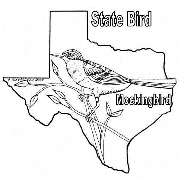 Texas Coloring Pages
 Texas coloring Download Texas coloring