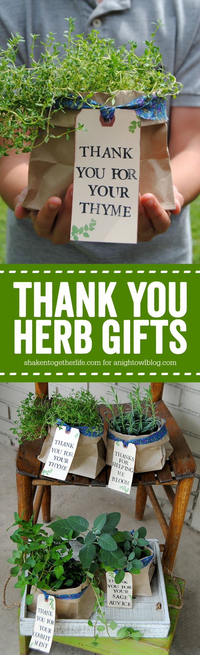 Thank You Gift Ideas For Neighbors
 Thank You Herb Gifts