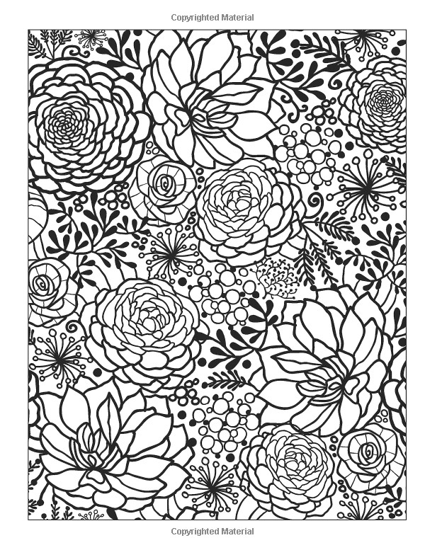 The Calm Coloring Book
 The Calm Coloring Book Chartwell Coloring Books