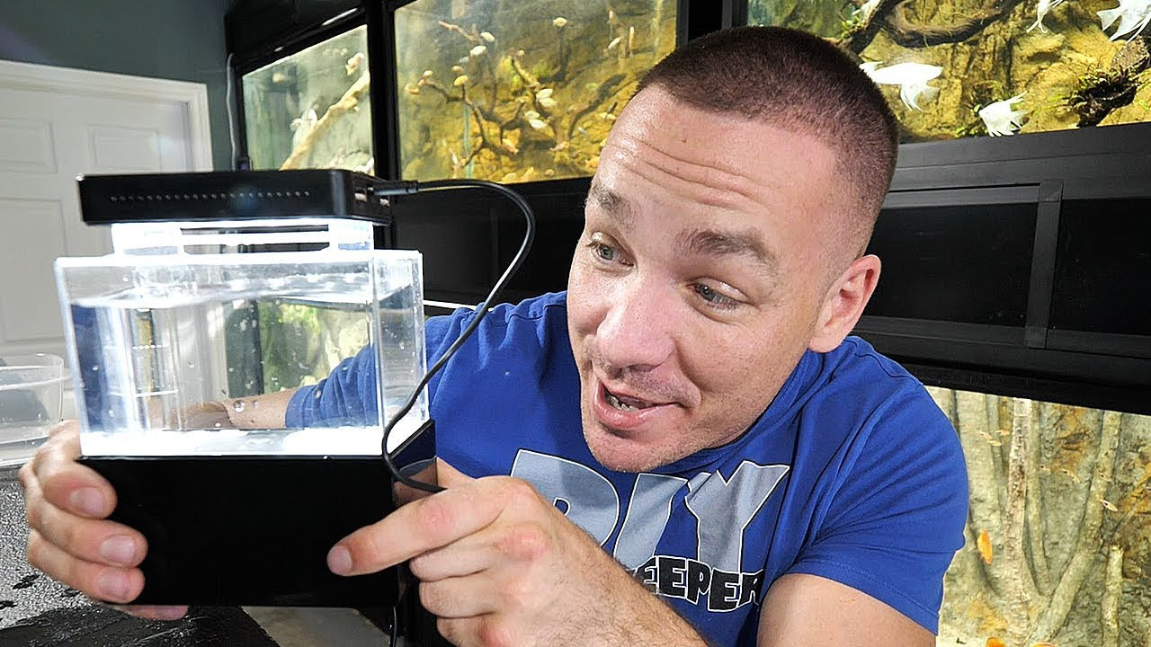 The King Of DIY
 THE SMALLEST AQUARIUM IN THE WORLD REAL