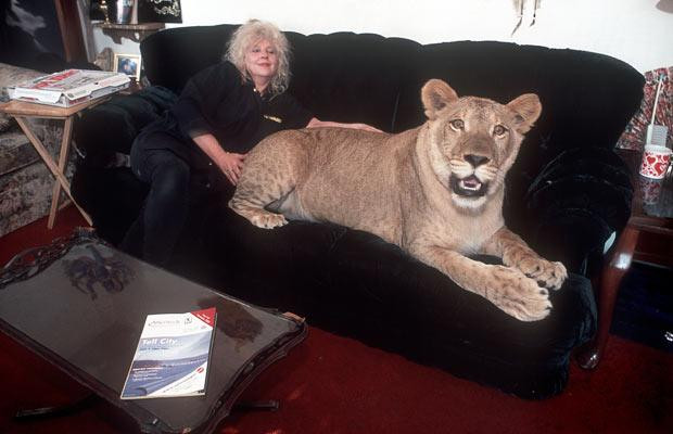 Best ideas about The Lion In The Living Room
. Save or Pin Exotic pets British photographer David White takes Now.