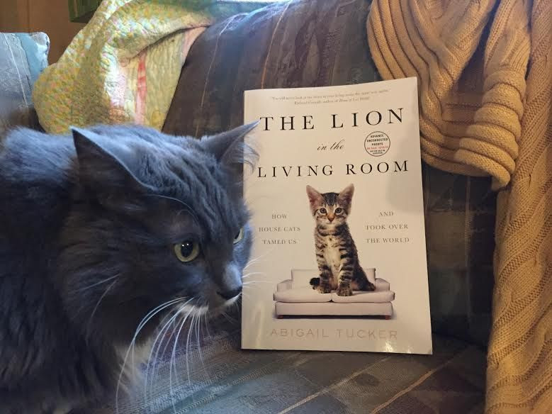 Best ideas about The Lion In The Living Room
. Save or Pin Book Review The Lion in the Living Room by Abigail Tucker Now.