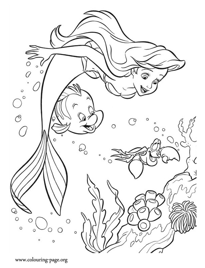 The Little Mermaid Coloring Pages
 The Little Mermaid Ariel Sebastian and Flounder having