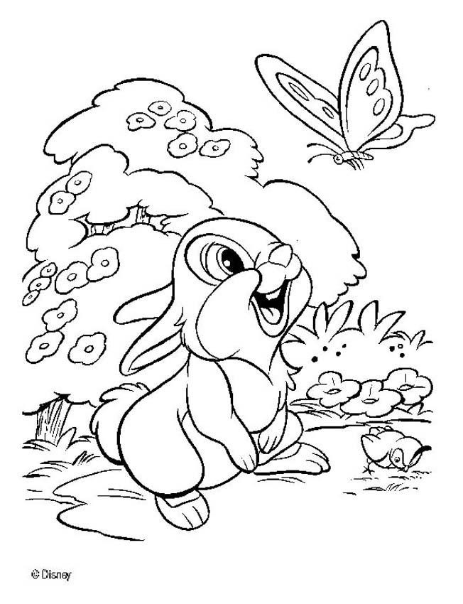 Thumper Coloring Pages
 BAMBI coloring pages Thumper 7