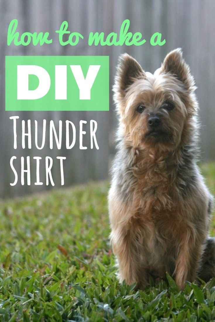 Thundershirt For Dogs DIY
 DIY Thundershirt How to Make Your Own Canine Anxiety Wrap