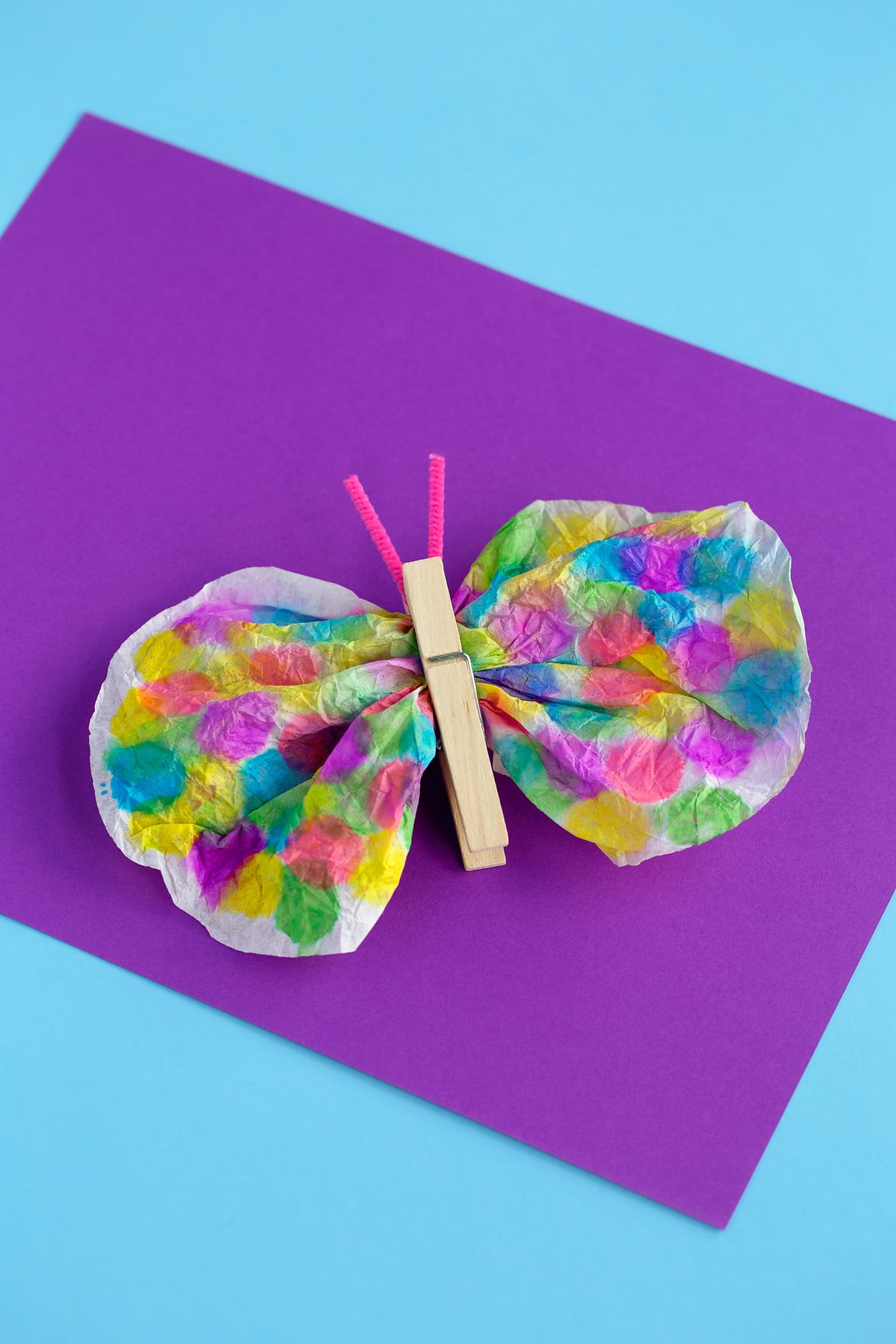 Toddler Craft Project
 Coffee Filter Butterfly Craft