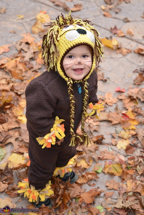 Best ideas about Toddler Lion Costume DIY
. Save or Pin Homemade Baby Lion Costume Now.