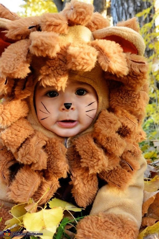 Best ideas about Toddler Lion Costume DIY
. Save or Pin Lion from Wizard of Oz Baby Halloween Costume 2 2 Now.