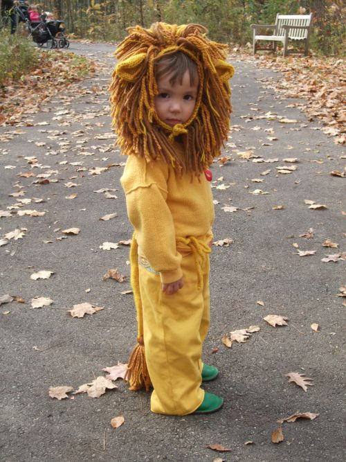 Best ideas about Toddler Lion Costume DIY
. Save or Pin Cowardly Lion lion s mane Pinterest Now.