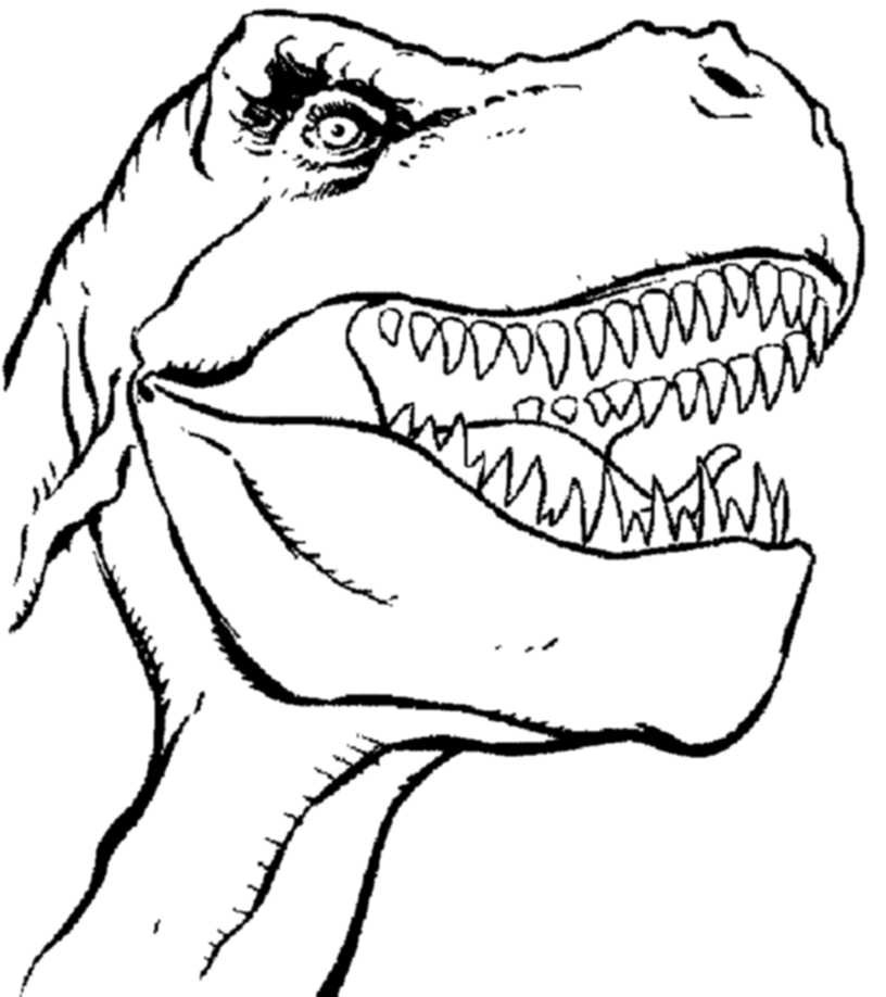 Trex Coloring Pages
 Print & Download Dinosaur T Rex Coloring Pages for Kids