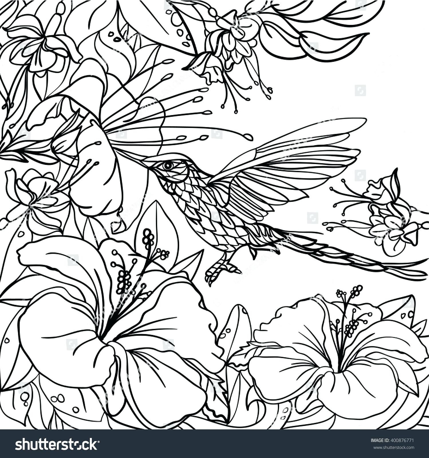 Tropical Coloring Book Pages
 Tropical Flower Coloring Pages to Print
