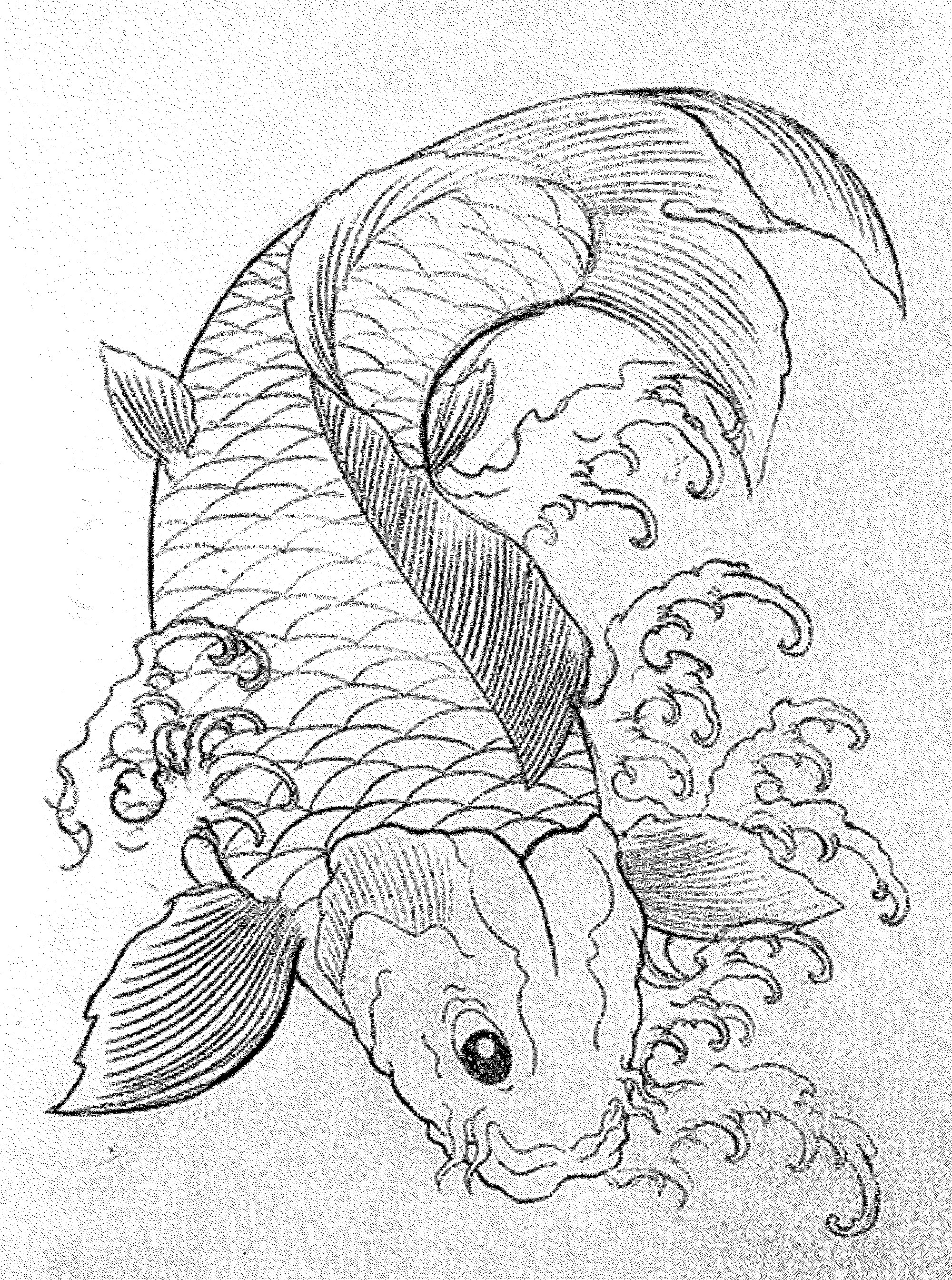 Tropical Coloring Book Pages
 Print & Download Cute and Educative Fish Coloring Pages
