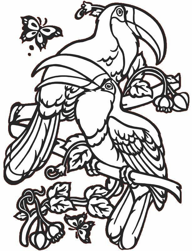 Tropical Coloring Pages
 Tropical Birds Coloring Pages Coloring Home