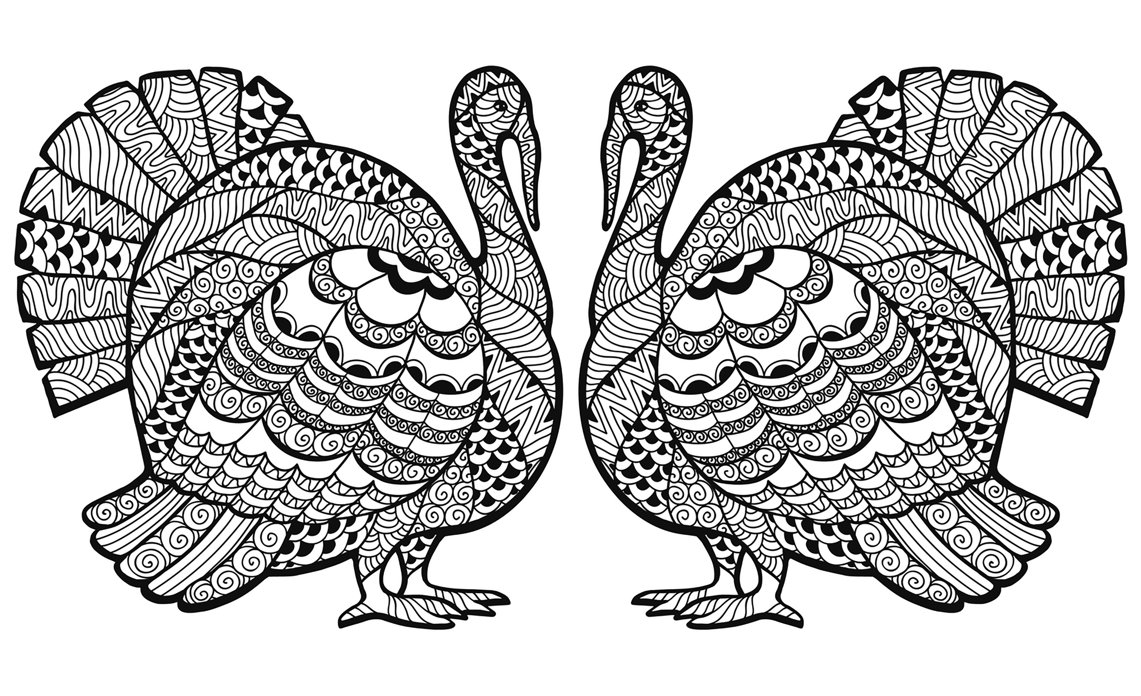 Turkey Coloring Pages For Adults
 Double Turkey Zentangle Coloring sheet Thanksgiving