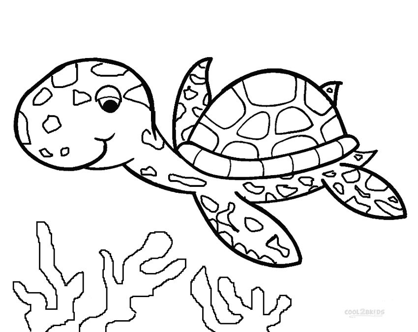 Turtle Coloring Book
 Printable Sea Turtle Coloring Pages For Kids
