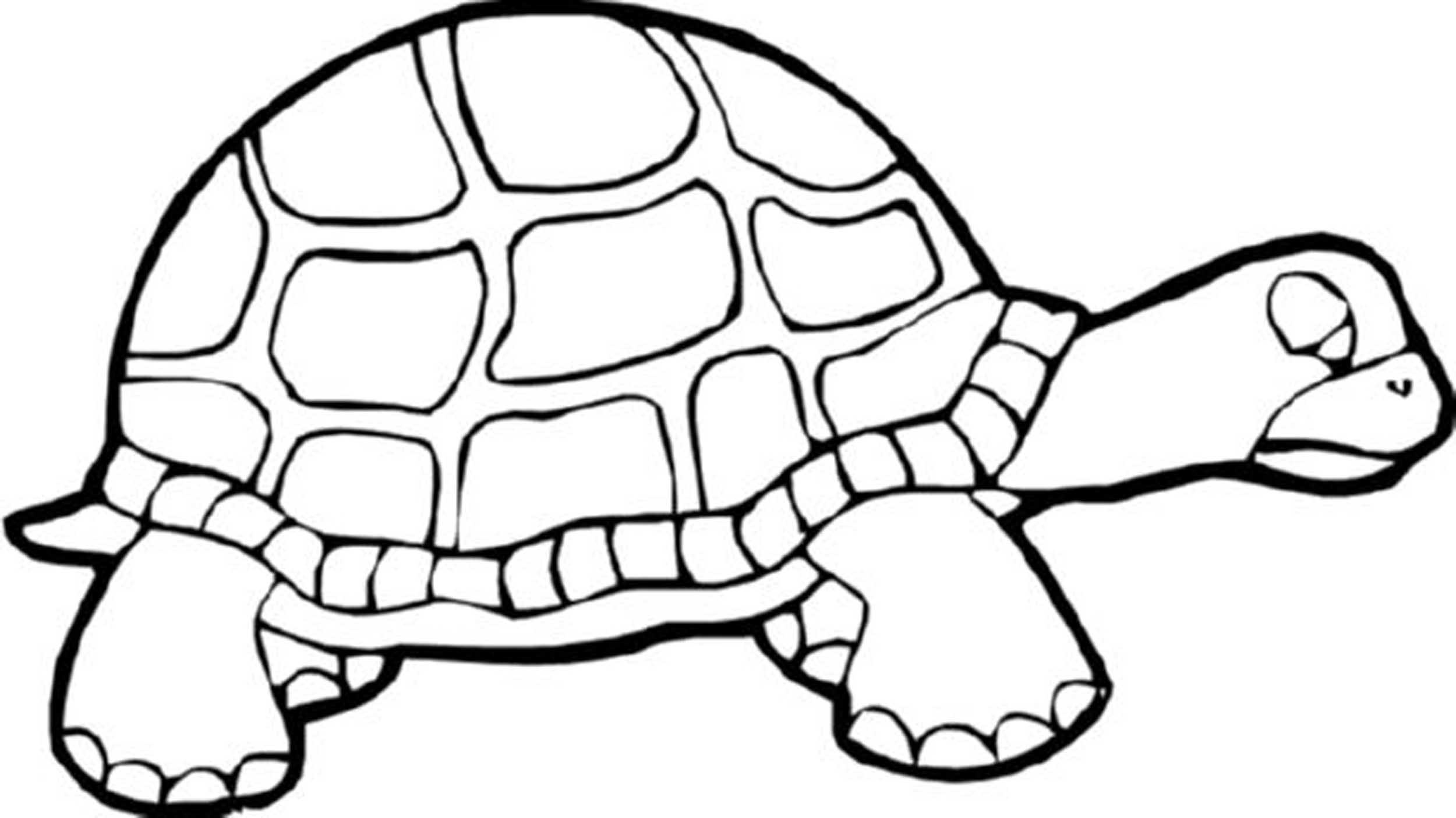Turtle Coloring Book
 Print & Download Turtle Coloring Pages as the